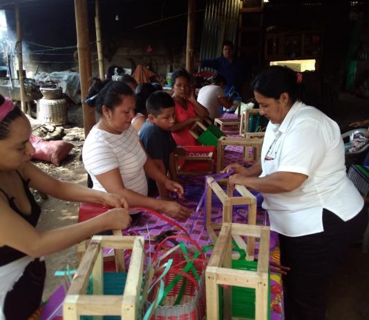 REALIZAN ACTIVIDAD DE ESPECIALIZACIÓN DE CANASTAS PLÁSTICAS