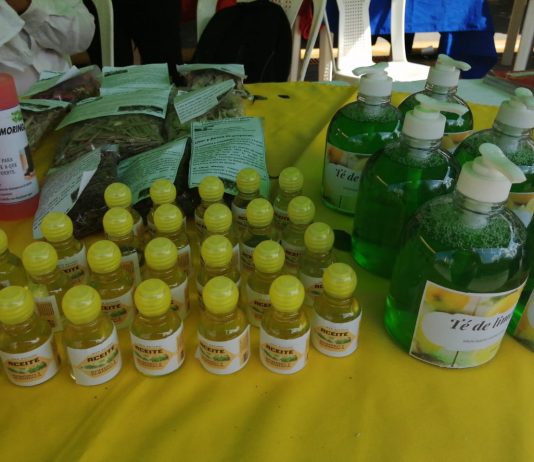 FERIA INCLUSIVA DE EMPRENDIMIENTO